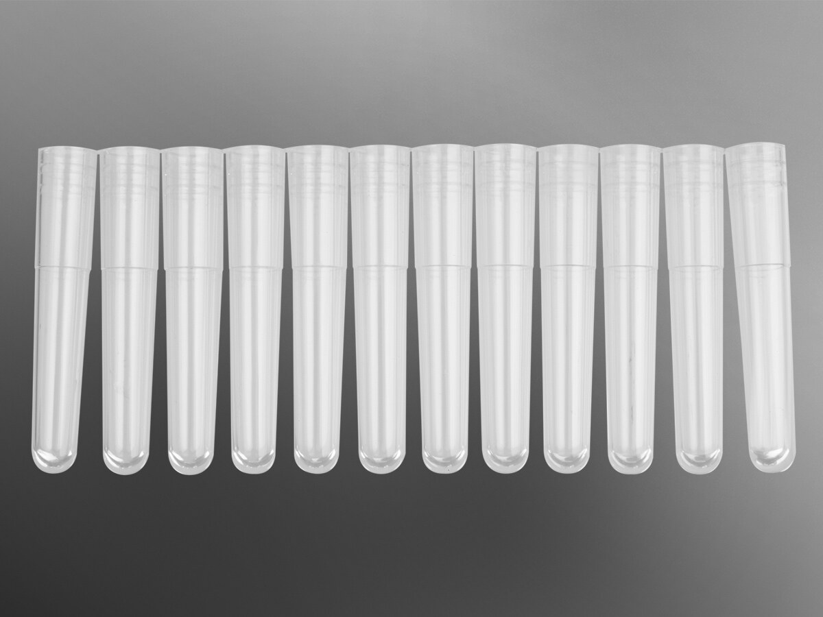 迷你管（1.1mL，12联管、盒装，灭菌，PP材质） - Axygen