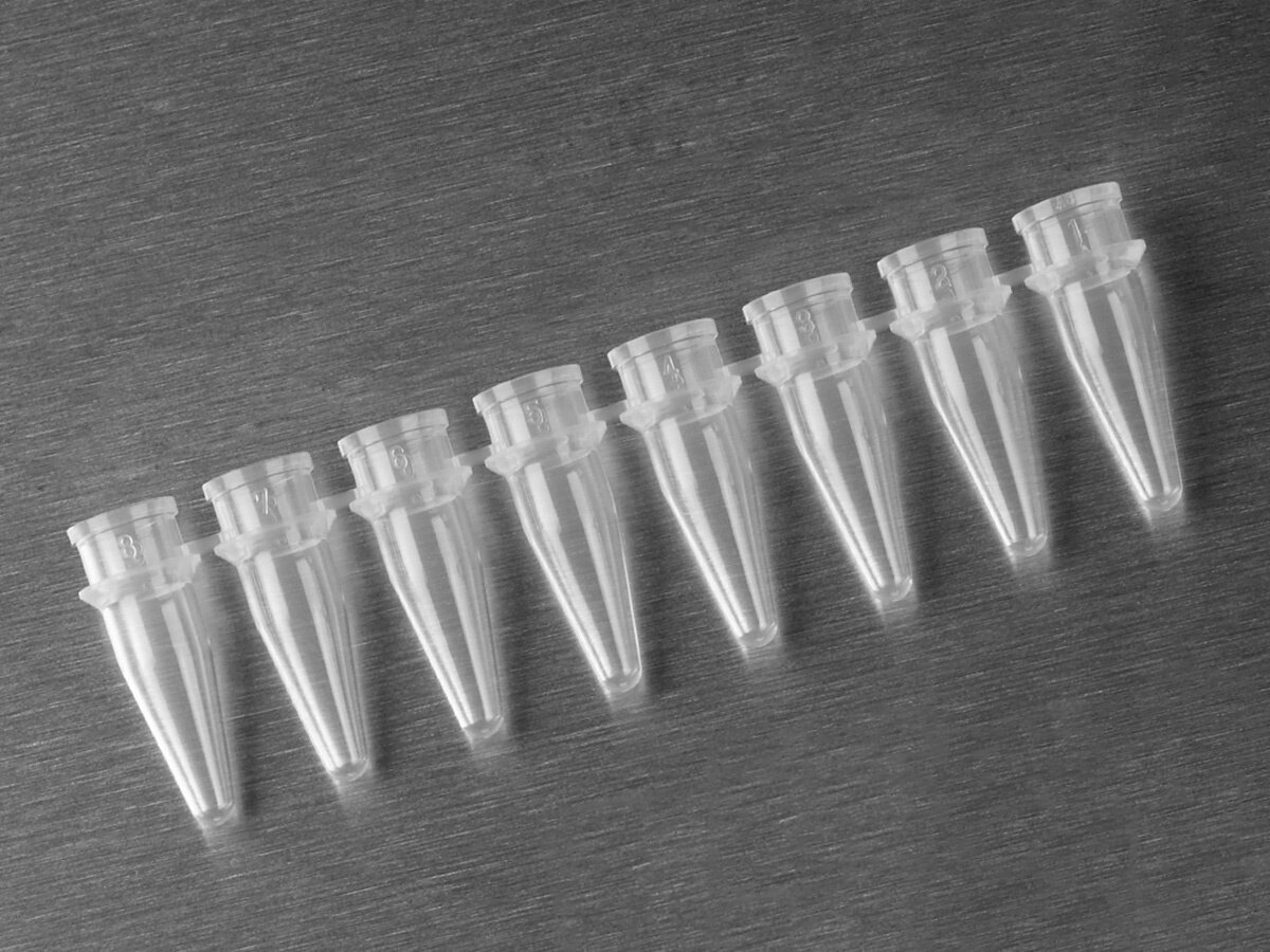 联管、0.2ml、含平盖、超透明、非灭菌，适用于QPCR - Axygen