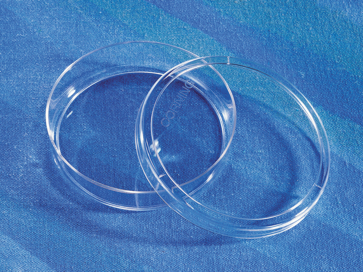 细胞培养皿（100mm，TC表面、圆形、20个/包、PS材质） - Corning