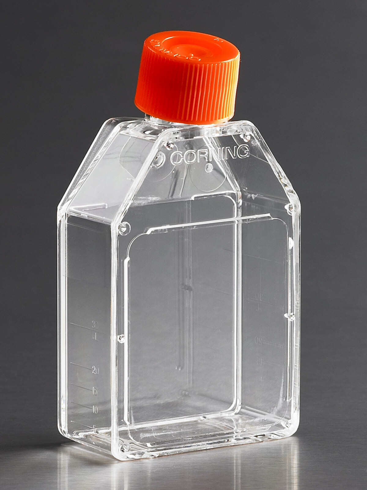 T25细胞培养瓶（TC表面、密封盖、矩形） - Corning