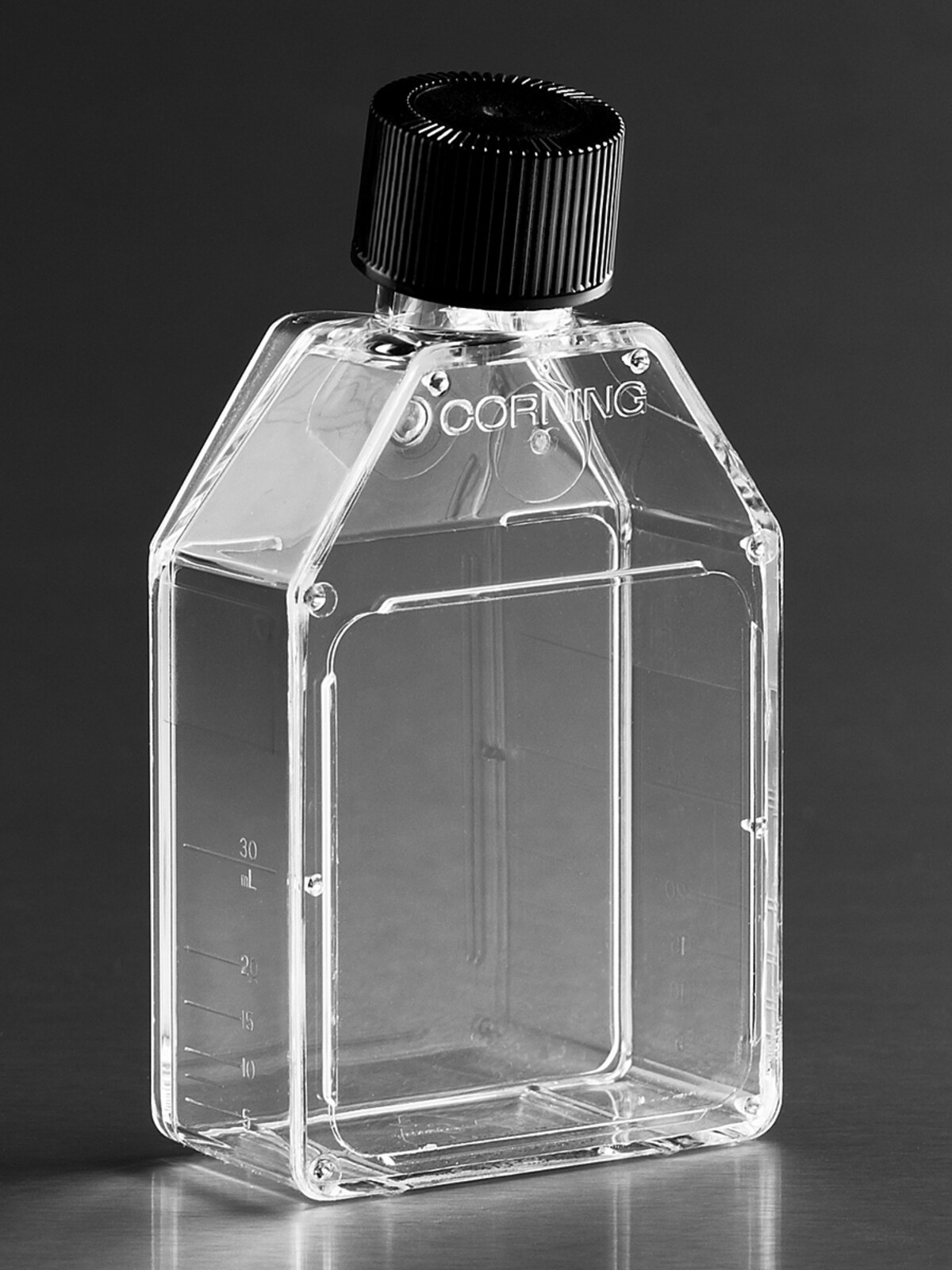 T25细胞培养瓶（TC表面、聚酯盖、矩形） - Corning
