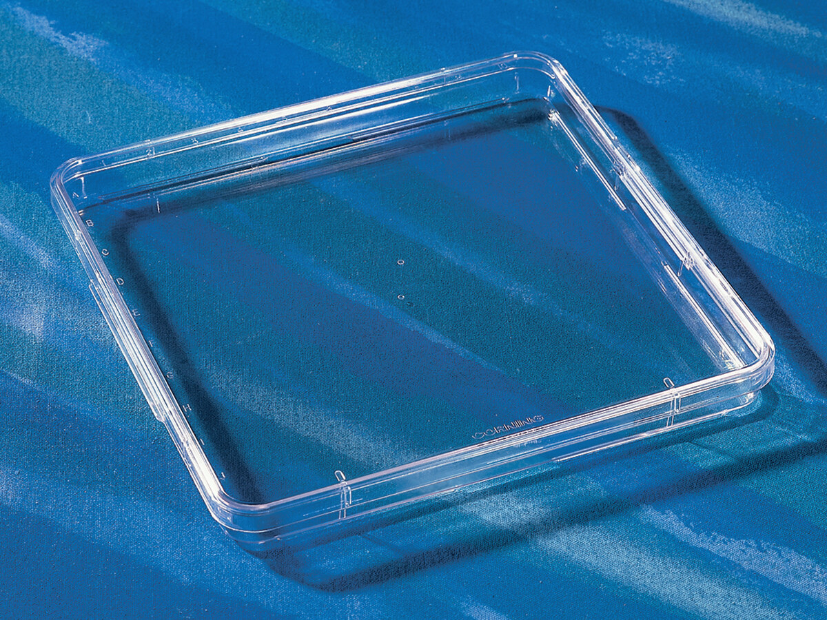 细胞培养皿（245mm，未处理表面、方形、PS材质、克隆自动兼容1） - Corning