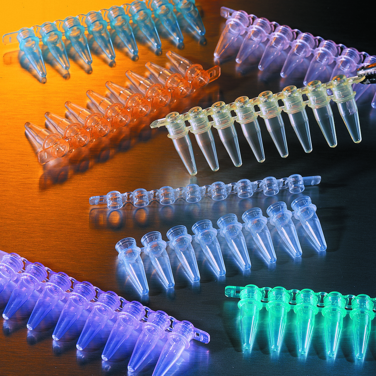 PCR8联管（0.2ml、透明、含盖、非灭菌、60个/包） - Corning