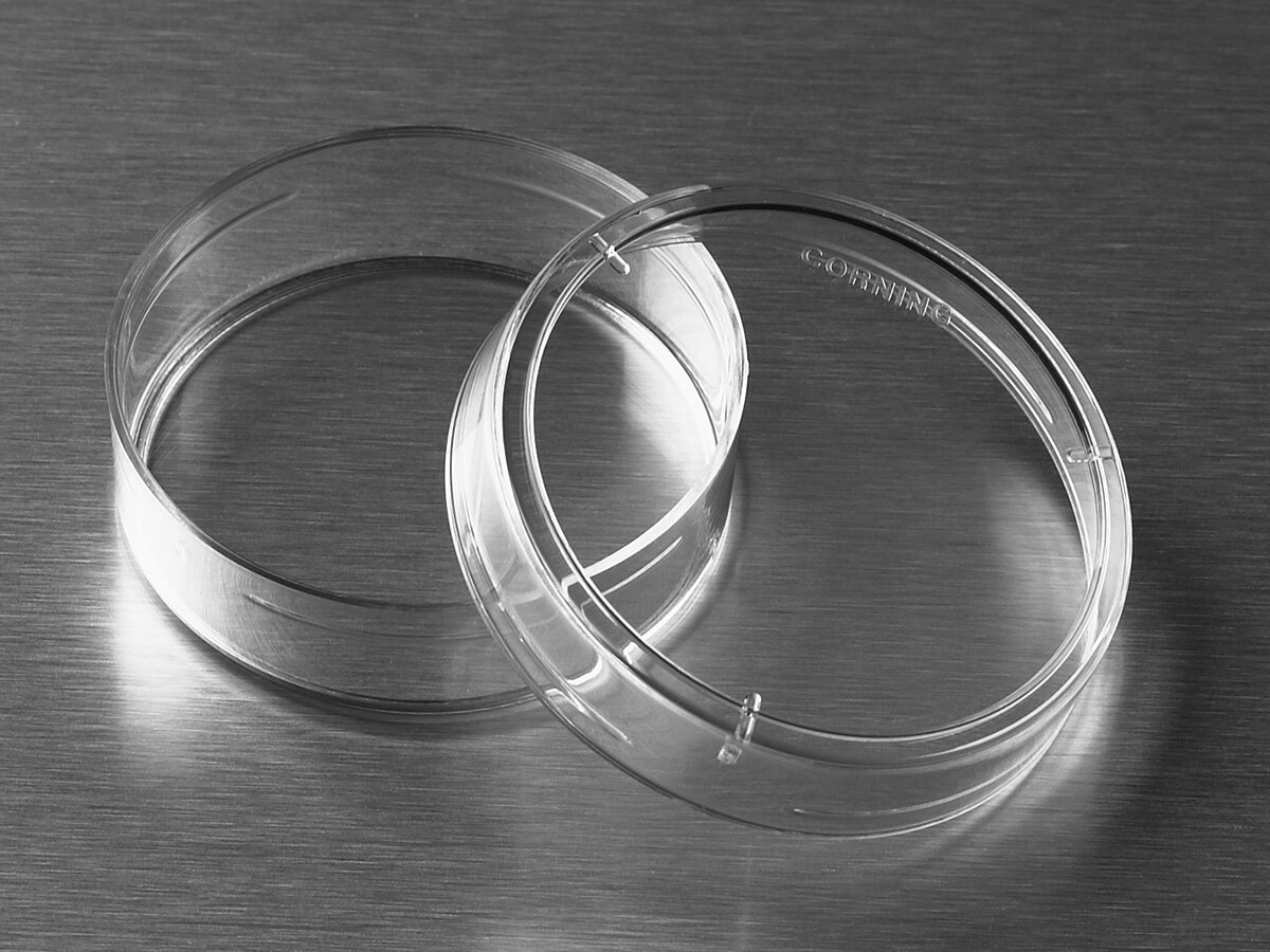 细胞培养皿（35mm，CellBIND表面、圆形、PS材质） - Corning