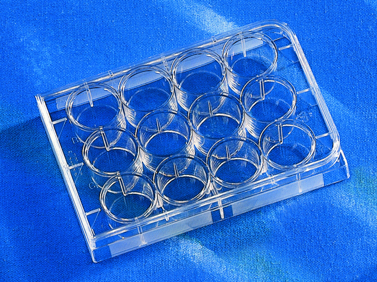 细胞培养板（12孔、CellBIND表面） - Corning