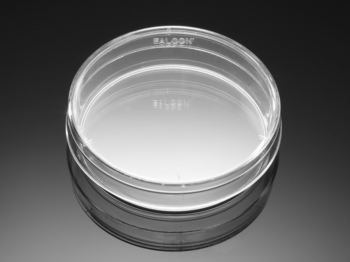 BioCoat 多聚D赖氨酸包被60mm 培养皿,TC处理