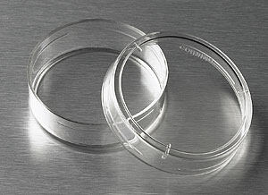 细胞培养皿（35mm，TC表面、圆形、PS材质） - Corning