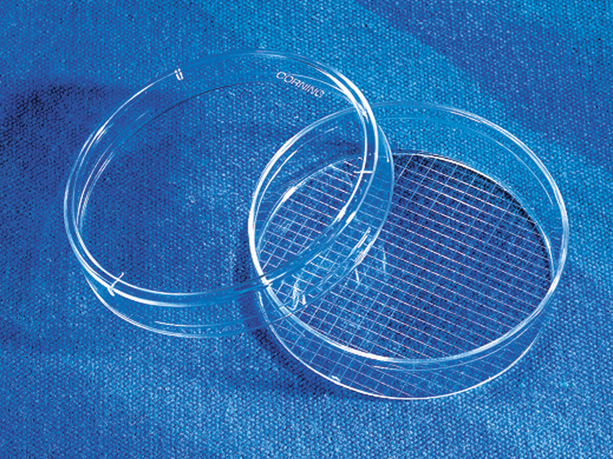 细胞培养皿（60mm，TC表面、圆形、带2mm格子、PS材质） - Corning