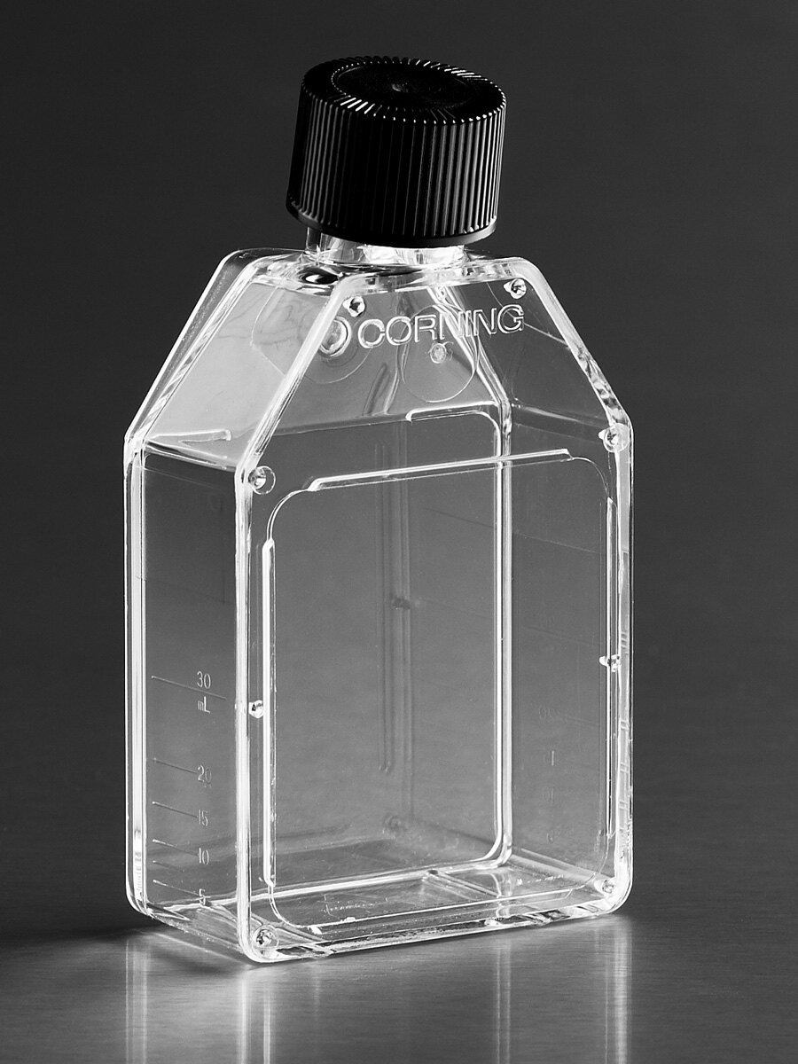 T75细胞培养瓶（TC表面、聚酯盖、矩型） - Corning