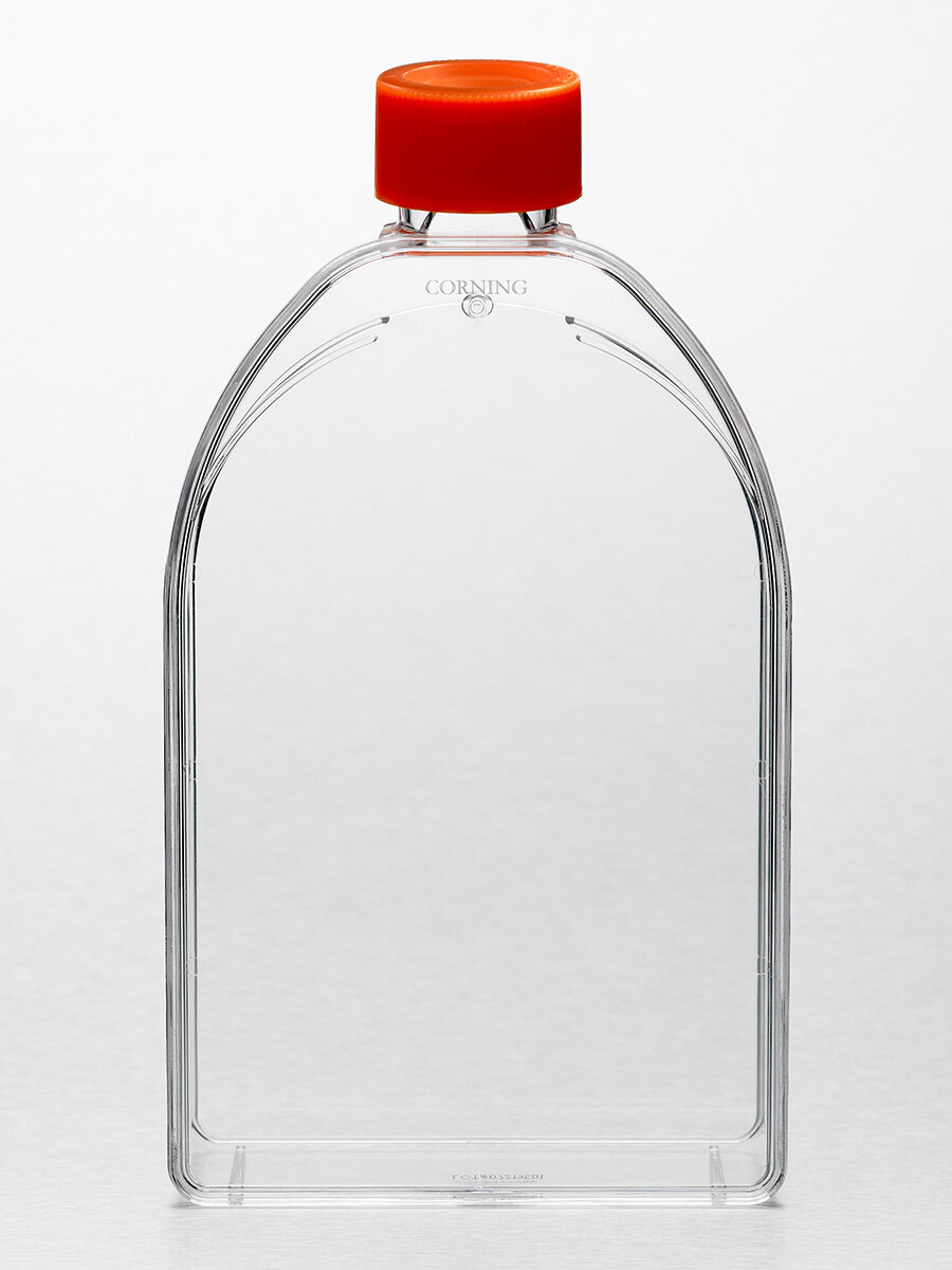 培养瓶，150cm²，密封盖，PS（聚苯乙烯）材质，灭菌，袋装 - Corning