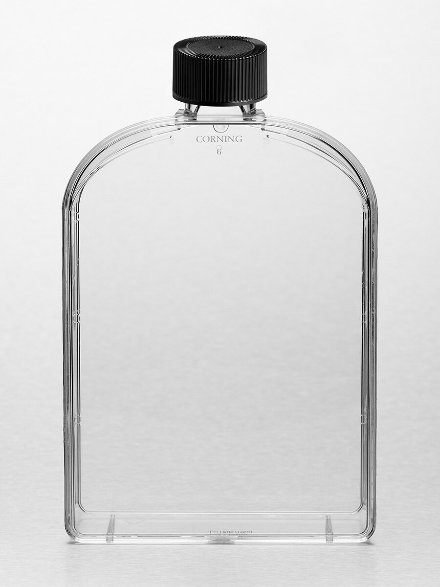 T175细胞培养瓶（TC表面、聚酯盖、矩型） - Corning