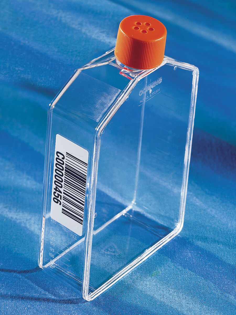 T175细胞培养瓶（CellBIND表面、透气盖、矩型、带条形码） - Corning