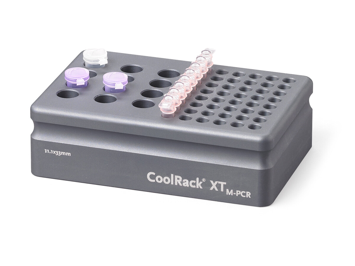 热传导模块（M-PCR，灰色，可放12个1.5ml或2ml微量离心管或6联管） - CoolCell