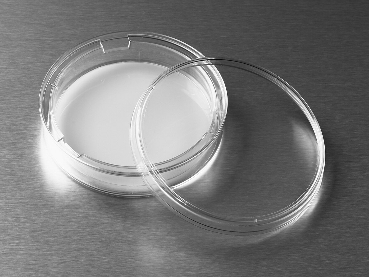 Transwell-膜嵌套（嵌套包装于100mm皿中、0.4um、PC膜） - Corning