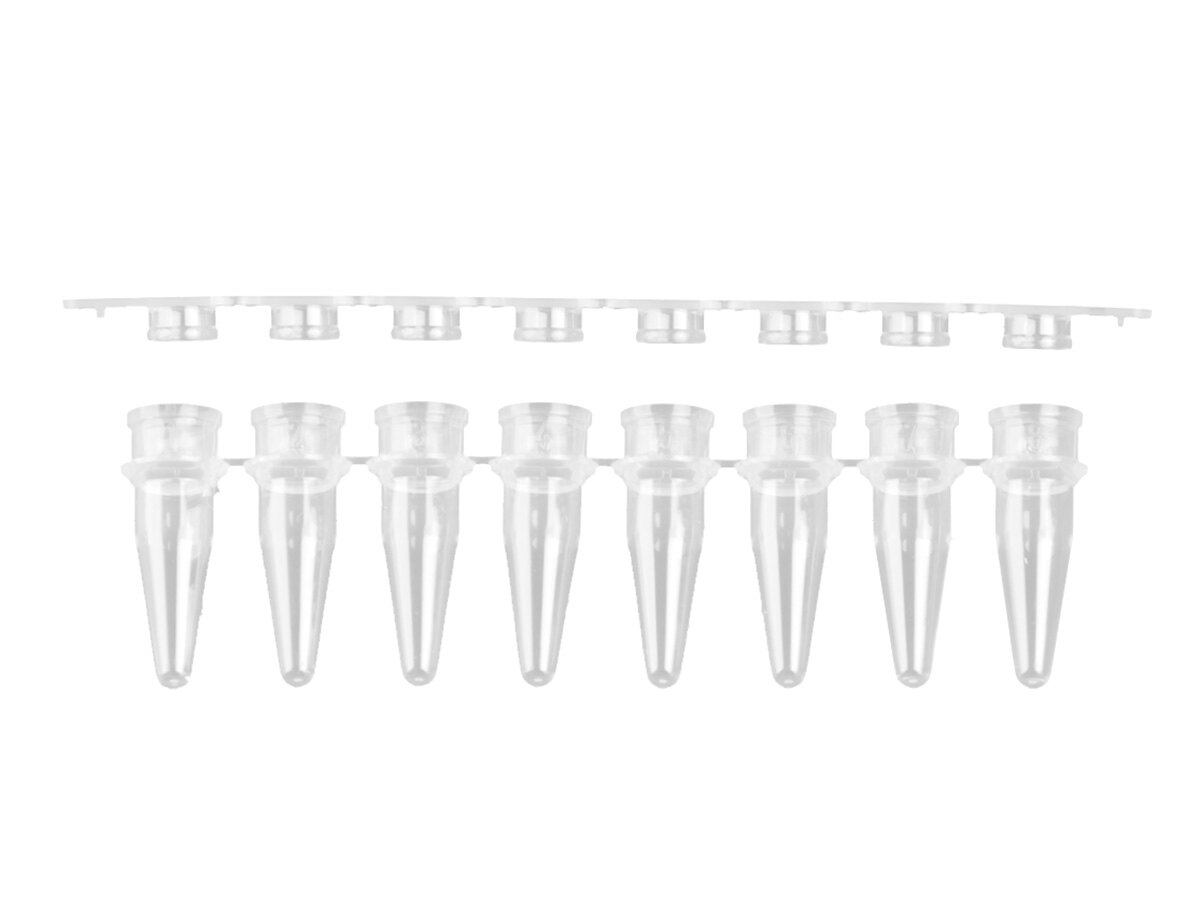 8联管、0.2ml、含平盖、超透明、非灭菌，管和盖分开 - Axygen