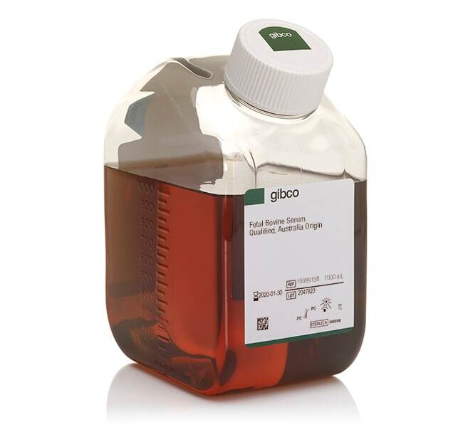 FBS QUALIFIED AUSTRALIA ORIGIN 1L - ThermoFisher