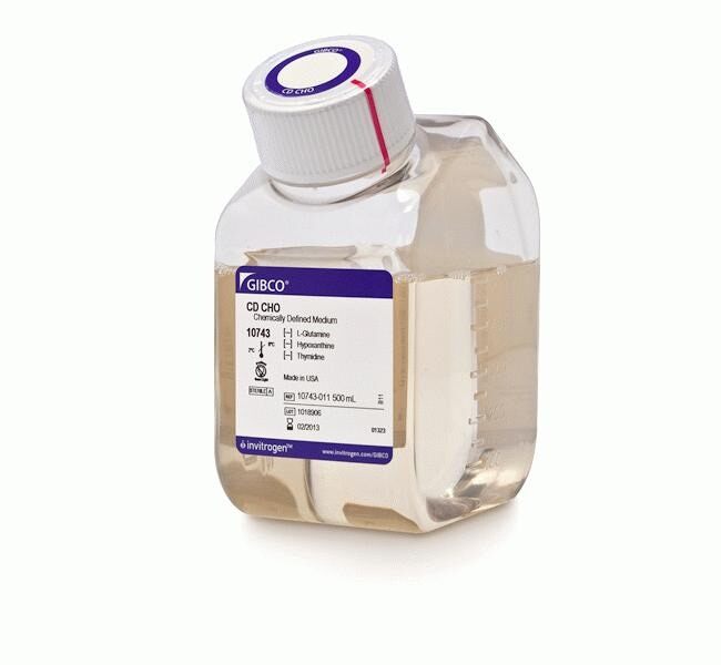 CD CHO MEDIUM 500ML - ThermoFisher