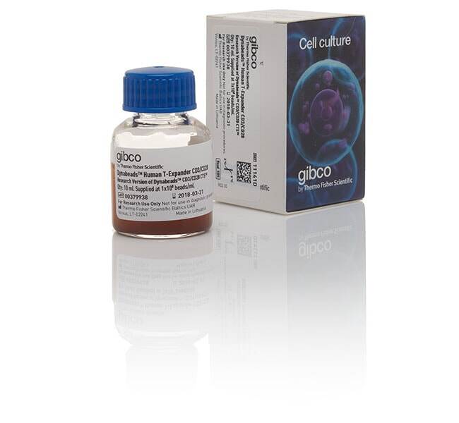 DYNABEADS HUMAN T-EXP CD3/CD28 10 ML - ThermoFisher