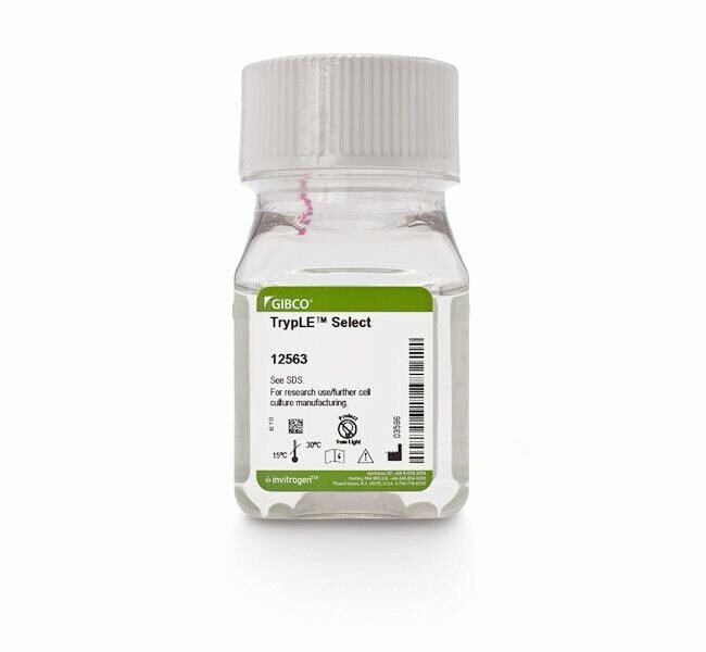 TRYPLE TM SELECT 100ML - ThermoFisher