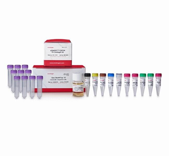 POPTIVEC TOPO TA CLONING KIT EACH - ThermoFisher