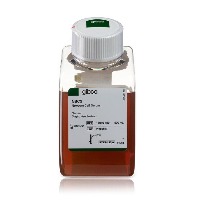 NEWBORN CALF SERUM 500ML - ThermoFisher