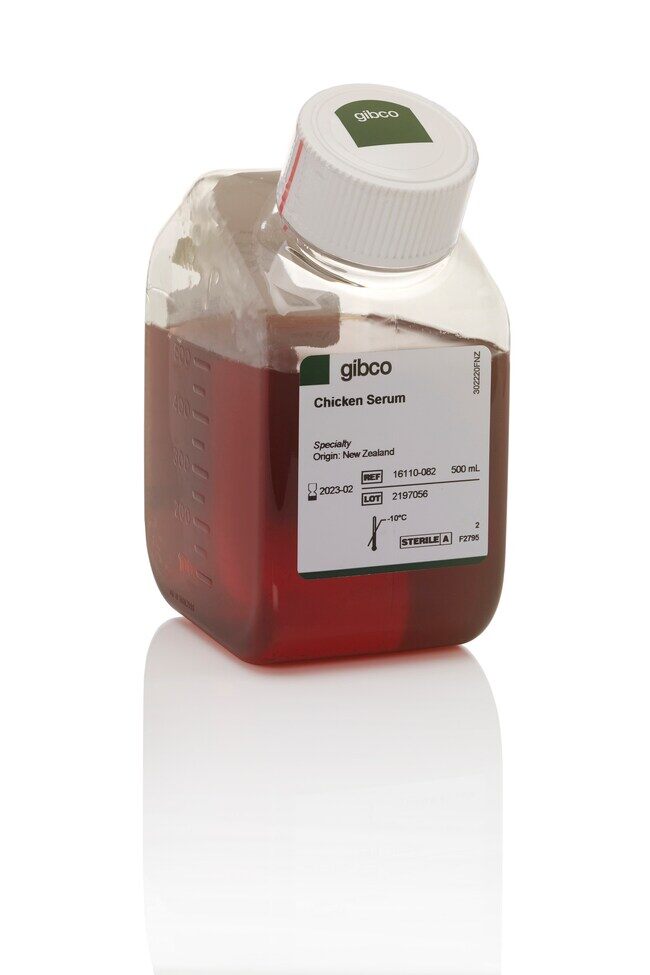 CHICKEN SERUM 500ML - ThermoFisher