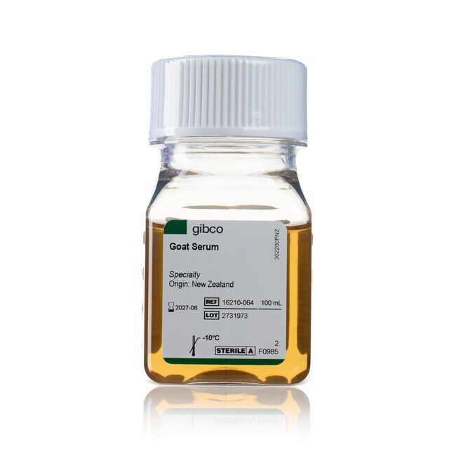 GOAT SERUM 100ML - ThermoFisher