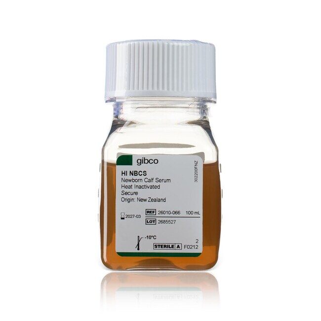 NEWBORN CALF SERUM HEAT INACT 100ML - ThermoFisher
