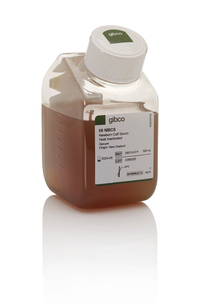 NEWBORN CALF SERUM HEAT INACT 500ML - ThermoFisher