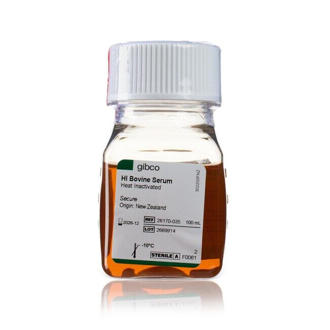 BOVINE SERUM HEAT INACTIVATED 100ML - ThermoFisher