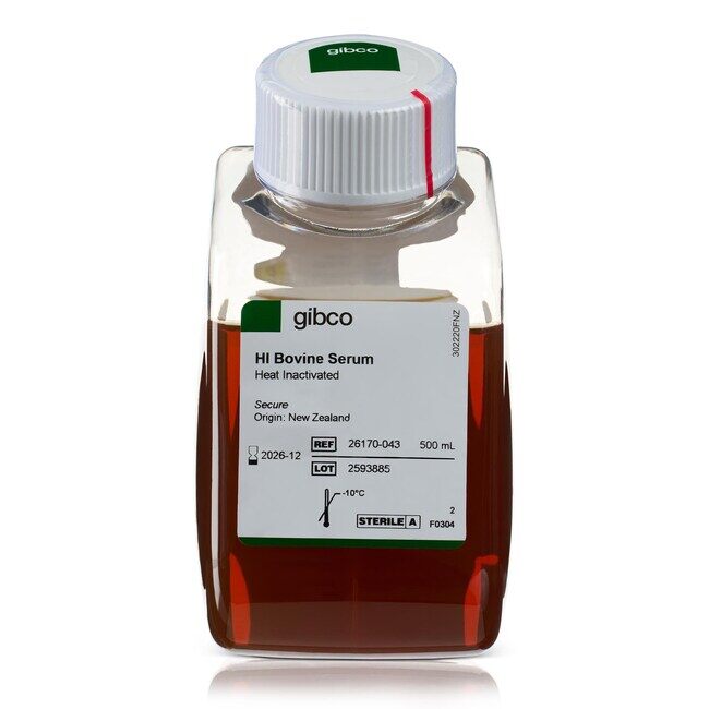 BOVINE SERUM HEAT INACTIVATED 500ML - ThermoFisher