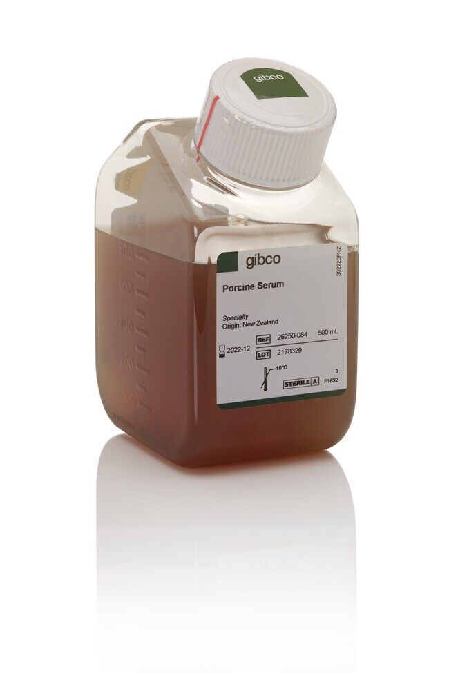 PORCINE SERUM 500ML - ThermoFisher