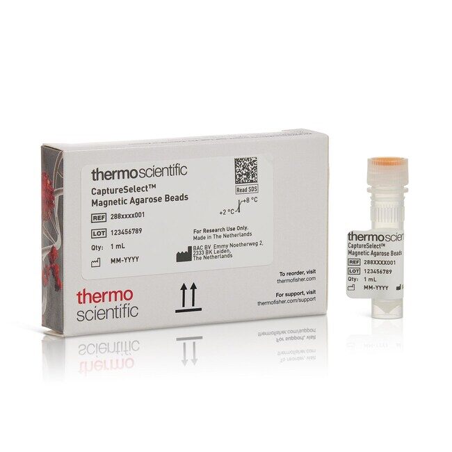 CaptureSelect IgG-Fc (Multispecies) Magnetic Agarose Beads - ThermoFisher
