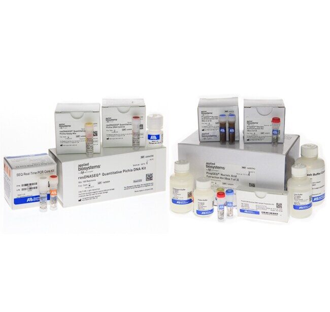 TF,NO PRTCL,PICHIA QUANT DNA ASSAY KIT - ThermoFisher