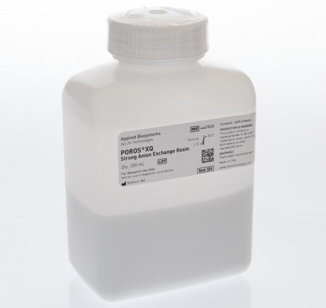 FG, POROS XQ 250ML 250ML - ThermoFisher