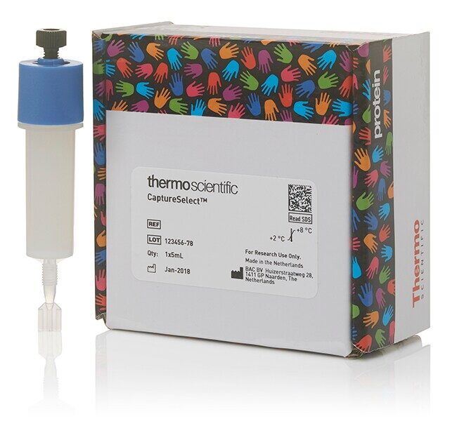 CaptureSelect FcXP Pre-packed Column - ThermoFisher