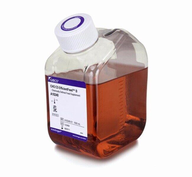 CHO CD EFFICIENTFEED B 1000ML - ThermoFisher
