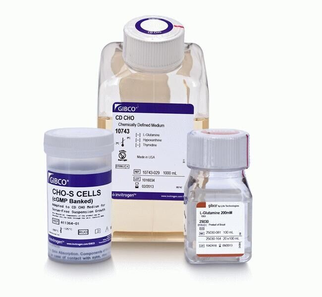 CHO-S CELLS & MEDIA KIT EACH - ThermoFisher