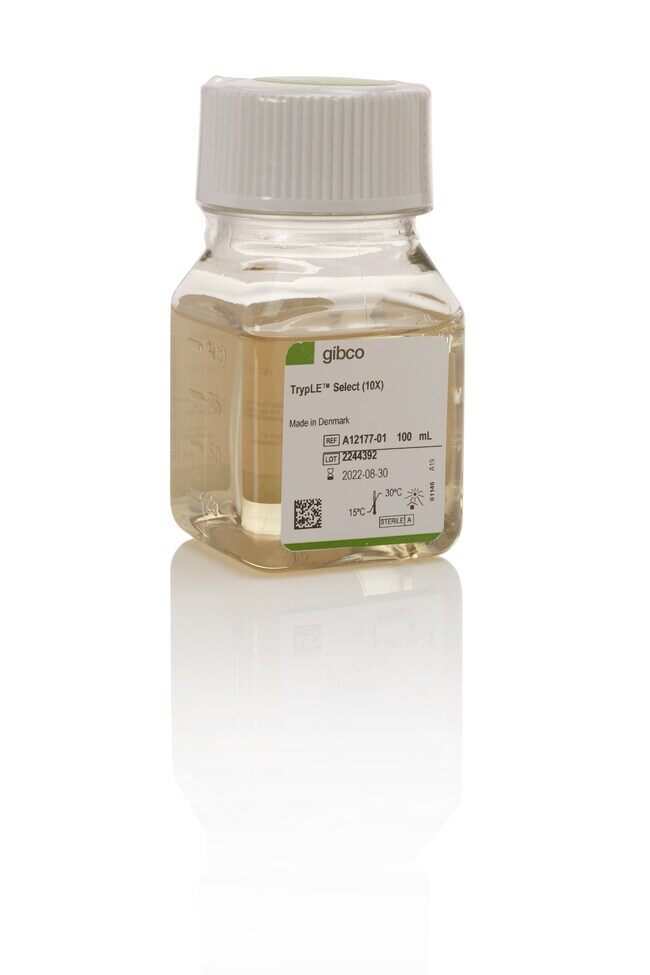 TRYPLE SELECT 10X 20 X 100ML - ThermoFisher