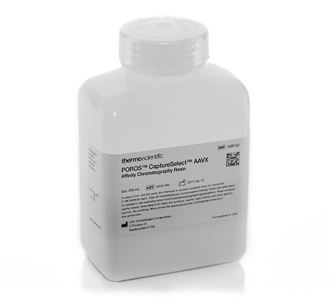 POROS AAVX, 250ML EA - ThermoFisher