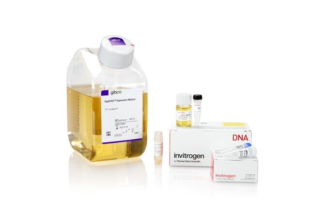 Freedom ExpiCHO-S Kit - ThermoFisher