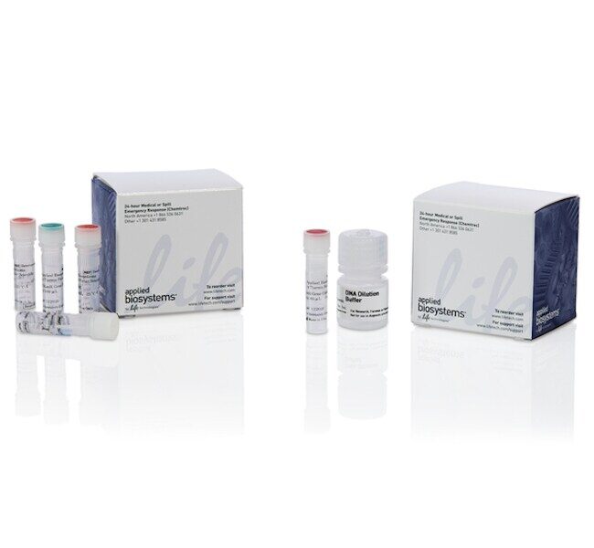 resDNASEQ Quantitative Plasmid DNA–Kanamycin Resistance Gene Kit - ThermoFisher