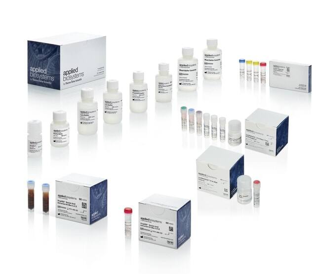 resDNASEQ 定量 E1A DNA 片段长度试剂盒 - ThermoFisher