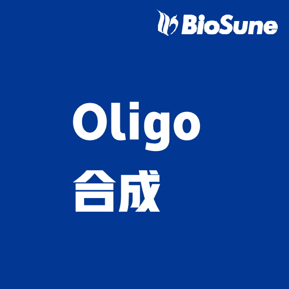 引物合成和探针合成（国产合成）