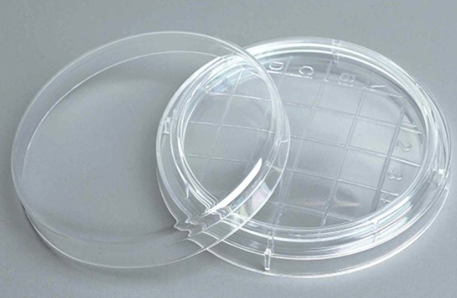 65mm*15mm 培养皿，带计数格，EO灭菌