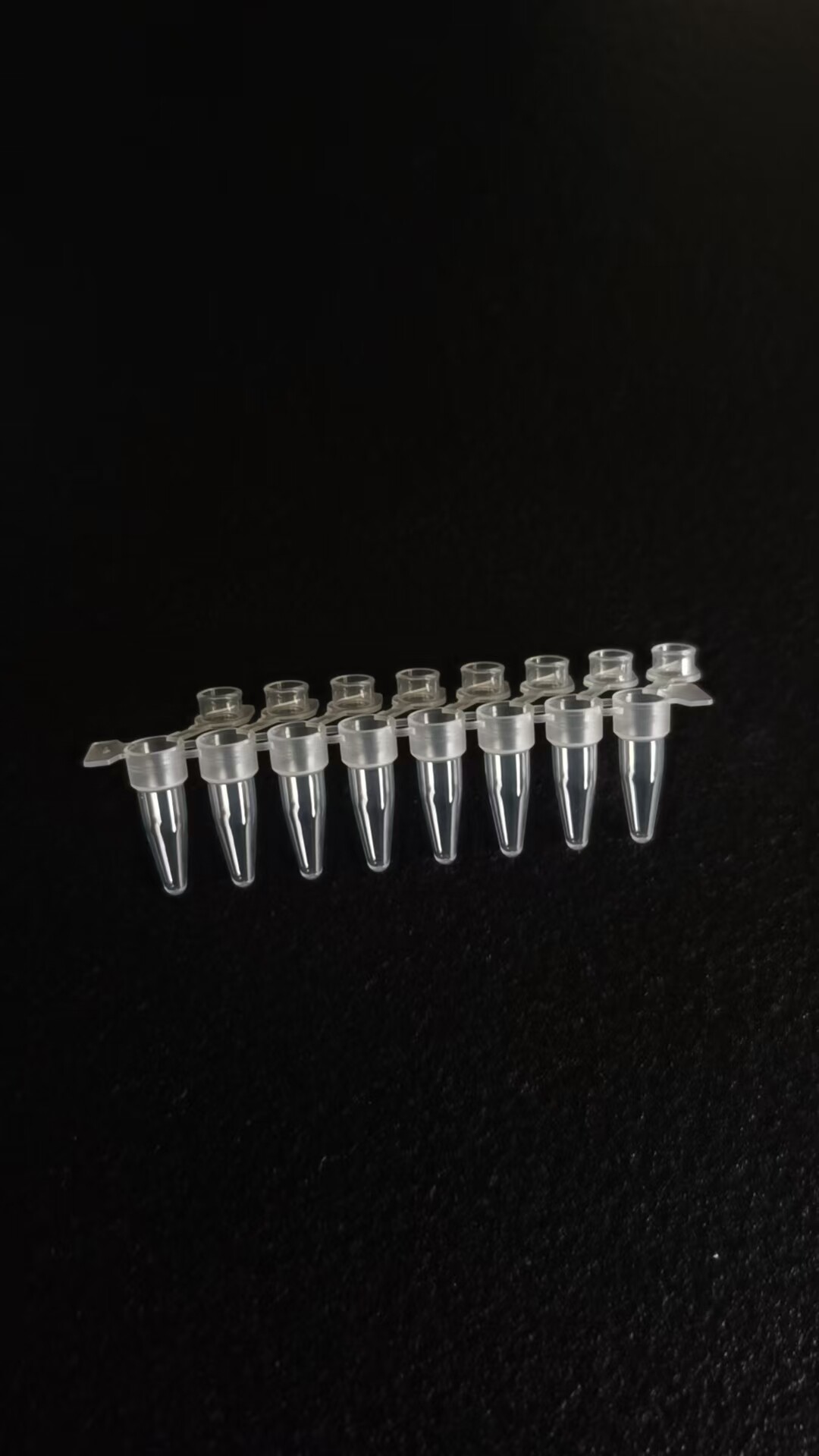 0.2mL 连盖八联管,非灭菌,T款