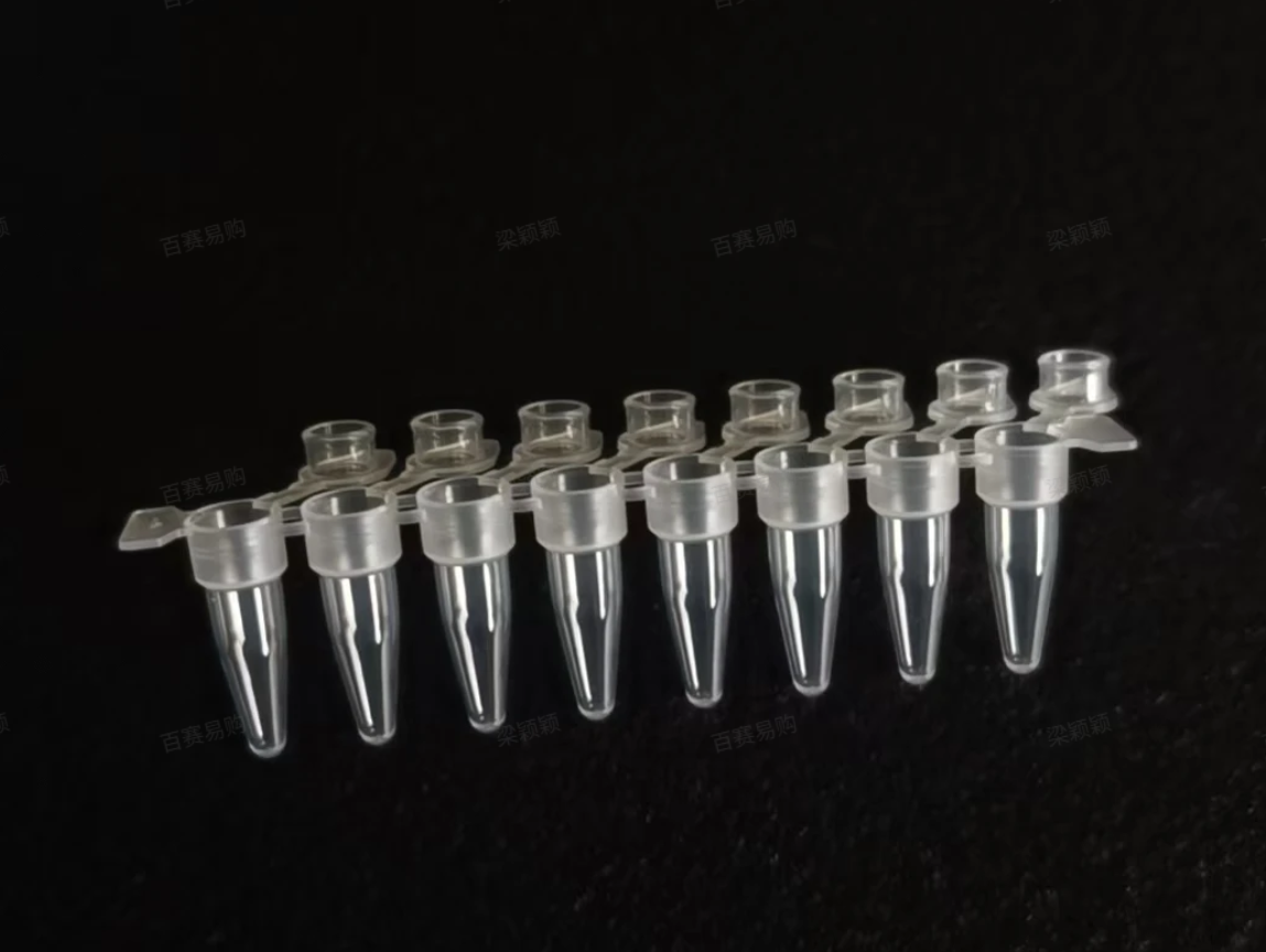 0.2mL 连盖八联管，灭菌，T款 - 百赛利德