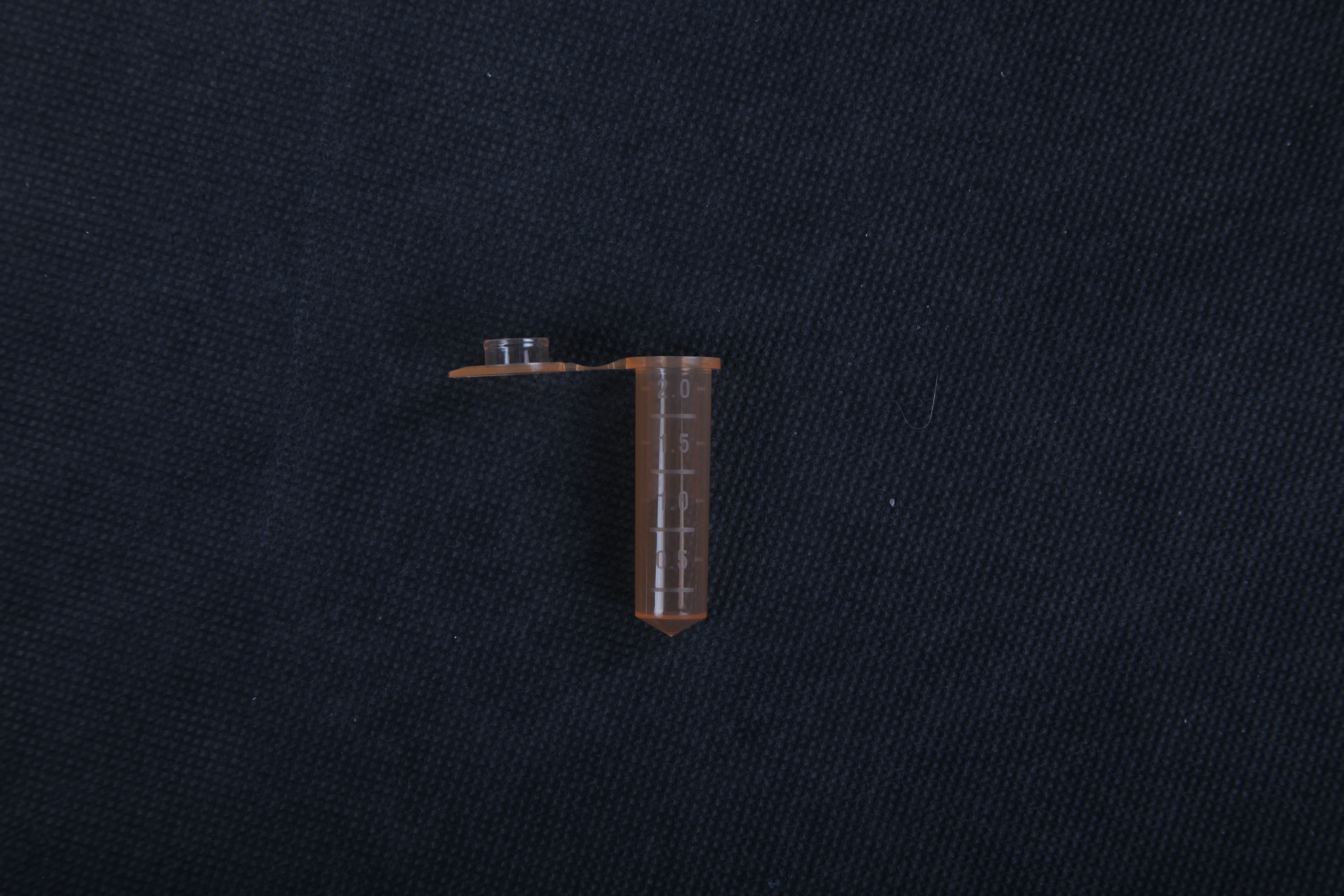 按压盖微量离心管（2.07ml、PP材质、橙色、袋装，非灭菌） - Axygen