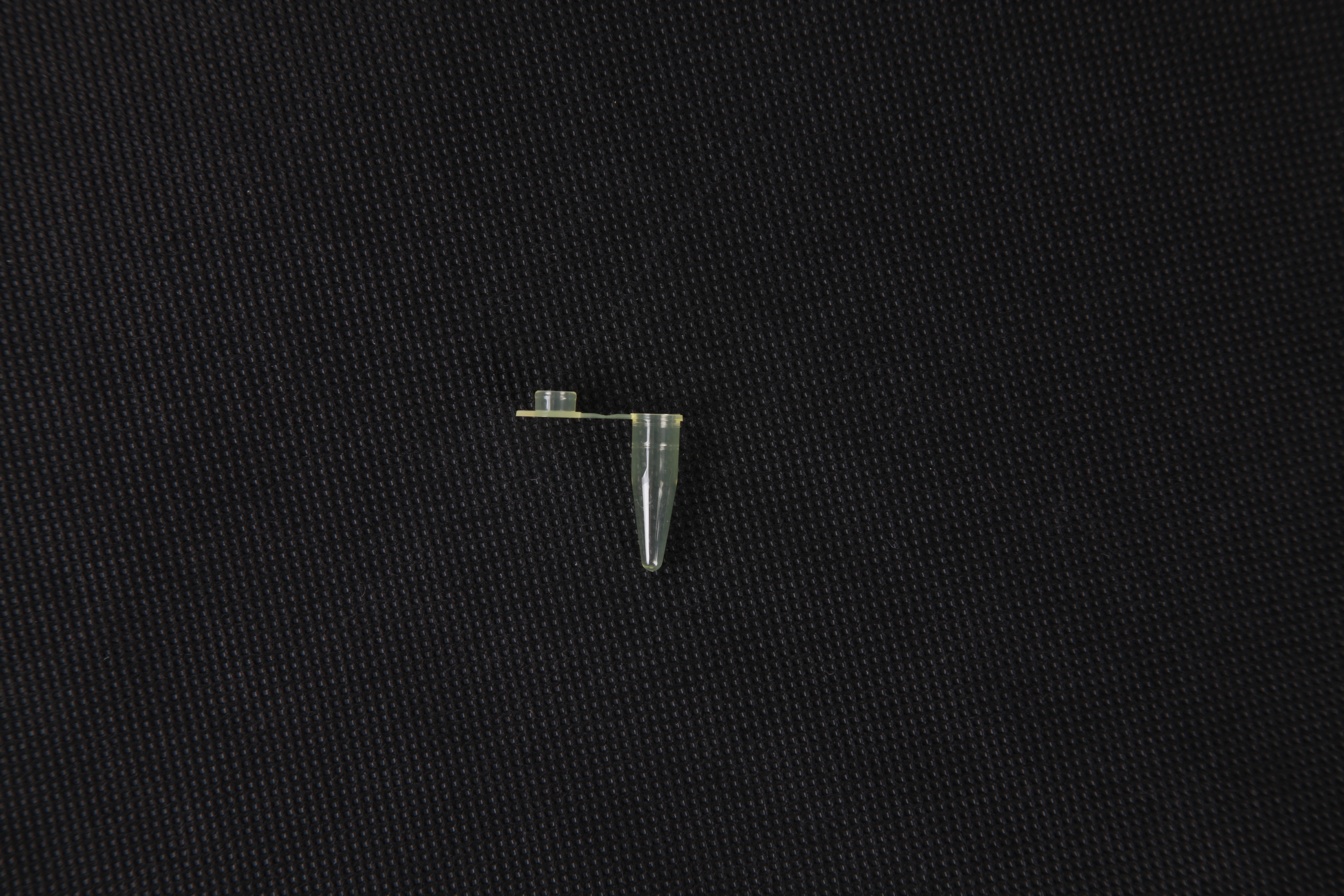 PCR单管（0.2ml 、黄色、平盖、非灭菌） - Axygen
