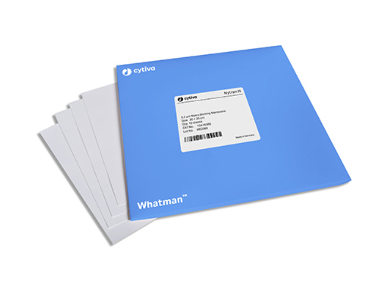 Nytran N 印迹膜， 300cmx3m， 1/PK - Cytiva